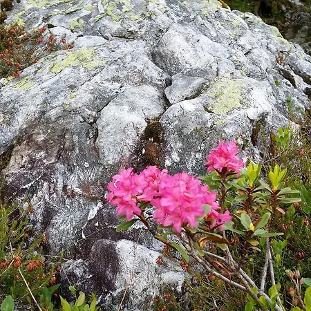 シャレー Almdorf Im Winkl - Blockhuettendorf In *