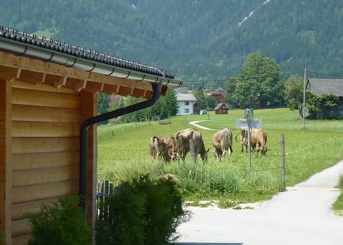 Almdorf Im Winkl - Blockhuettendorf In Groebming Chalet *
